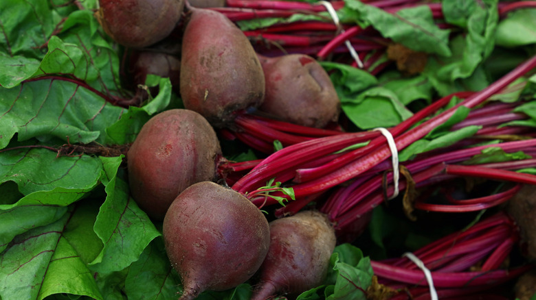Easy to grow beets are great for lazy gardeners.