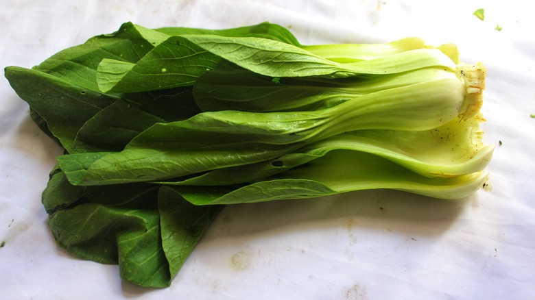 Harvest the entire head of bok choy or individual leaves.