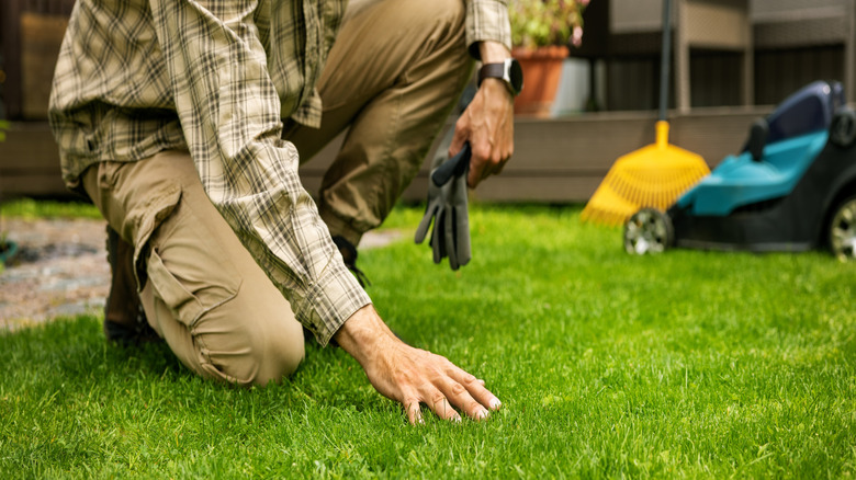 person touching uniform lawn