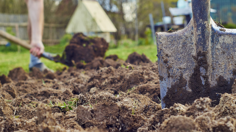 Close-up of shovel in soil with person digging in background