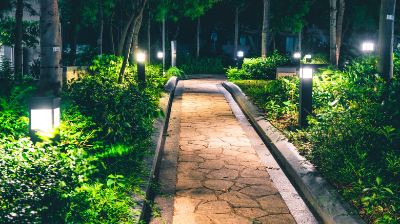 Outdoor lighting in garden