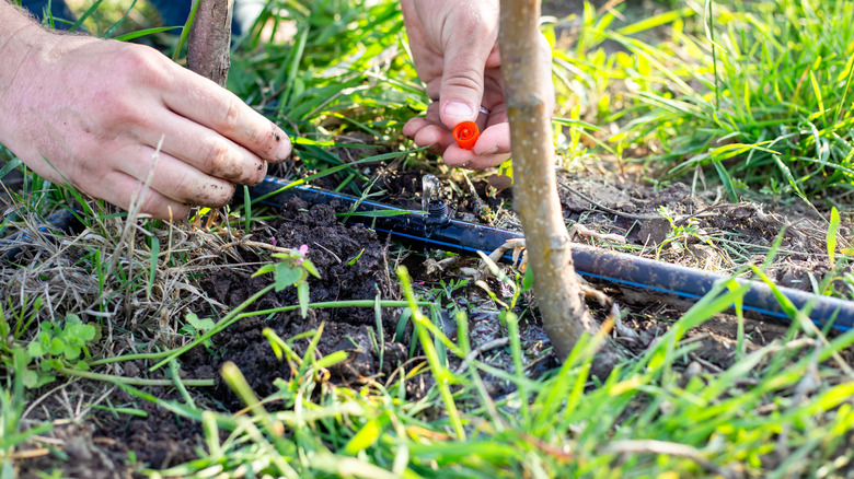 Close-up of hands checking an irrigation system.
