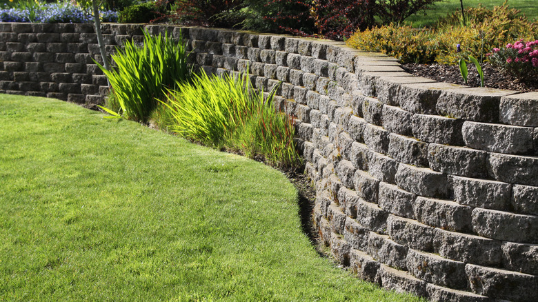 A large retaining wall curving along the edge of a lawn with some greenery in front and on top of it