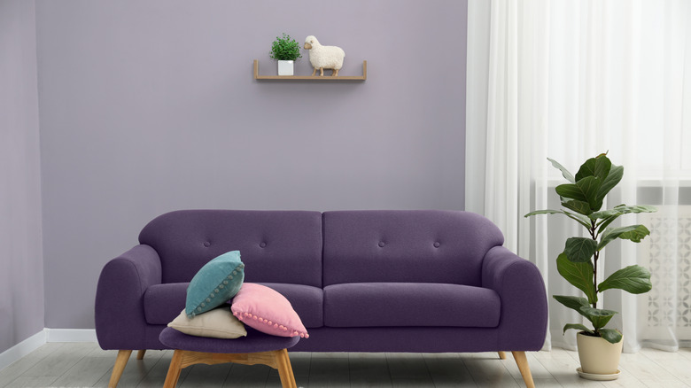 A grey wall with purple undertones brought out by the purple sofa in front of it. A large yucca plant stands to the right of the sofa.