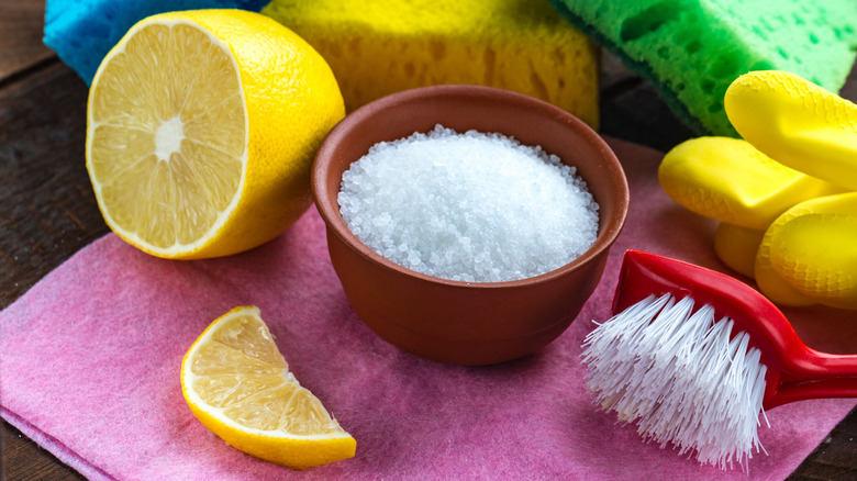 half lemon and a bowl of salt near some cleaning supplies