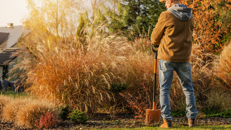 A man stands in his fall garden holding a shovel.