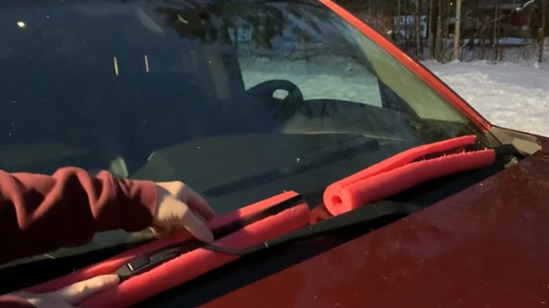 Hand placing pool noodles over wiper blades