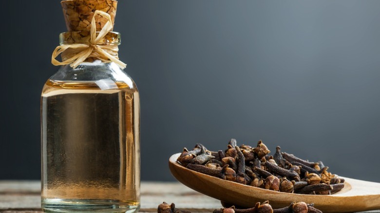 Cloves with clove essential oil in bottle