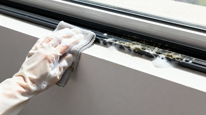 Wiping down window sill with soapy water