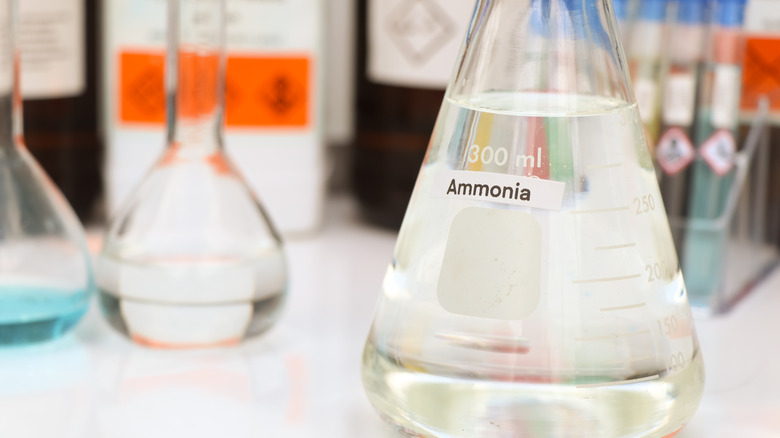 A bottle of ammonia.