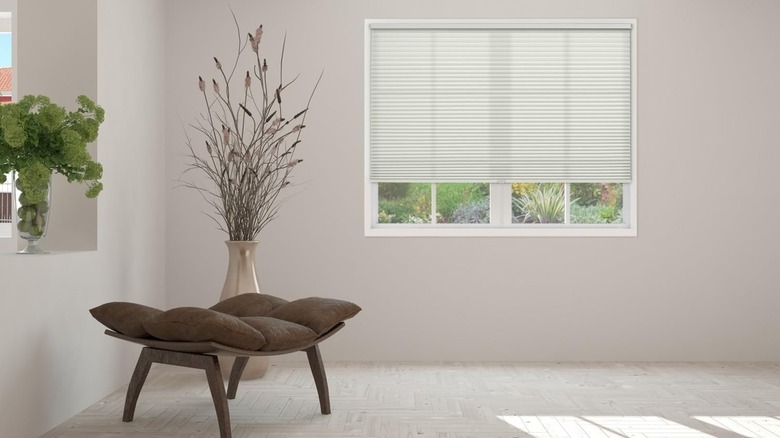 BlindsAvenue Cellular Shade on window