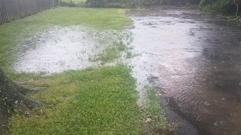 Flooded driveway due to heavy rain