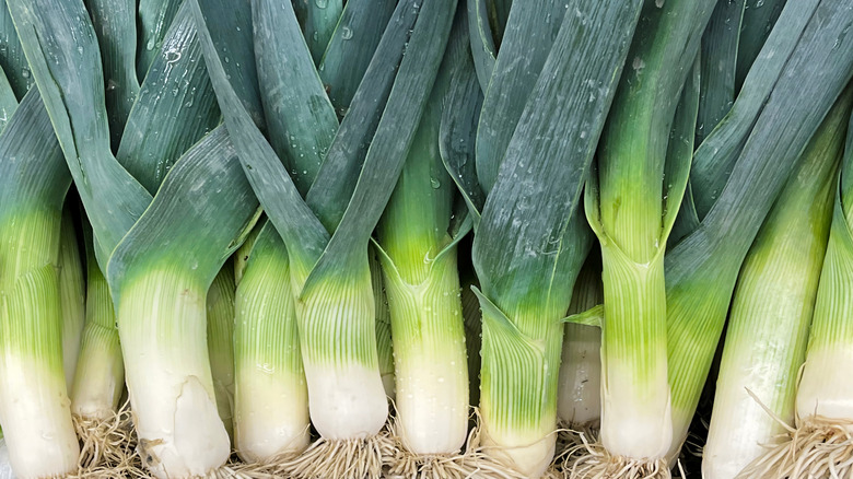 row of fresh leeks