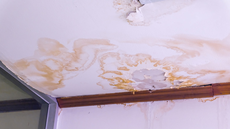 brown water stains on ceiling and peeling paint