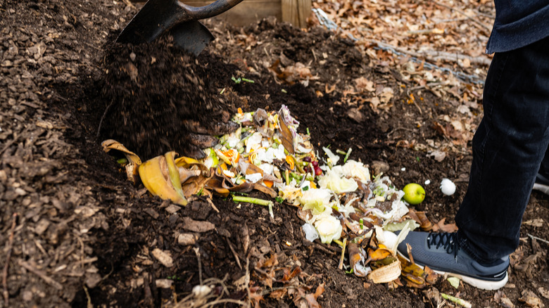 Adding vegetable waste to trench