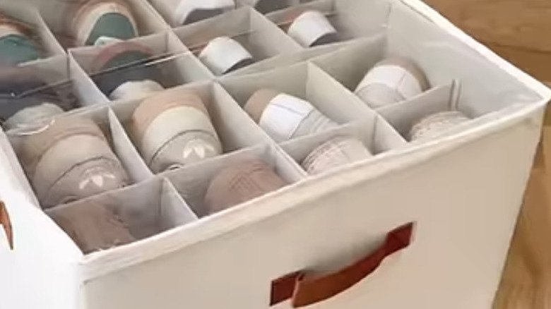 Shoe organizer for a shelf in a closet