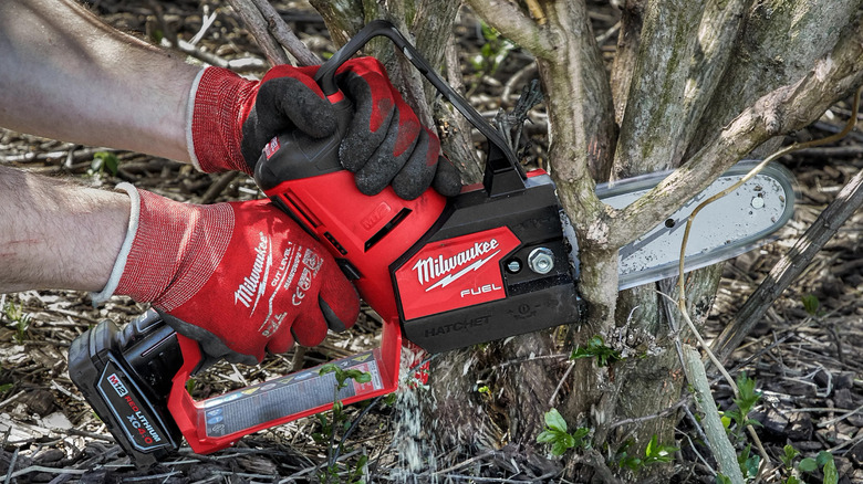 Close-up of a person cutting branches with Milwaukee's M12 FUEL HATCHET 6-inch 12V Lithium-Ion Brushless Cordless Pruning Saw
