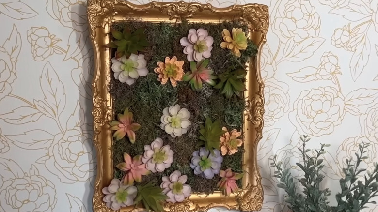 A gold frame on a wall that's holding fake moss and succulents