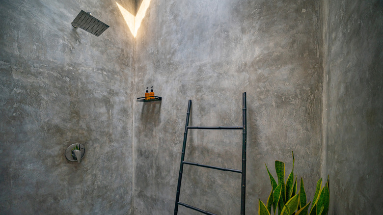 Modern luxury bathroom with polished concrete on the walls. Shower with stainless steel shower and tropical decorative plant
