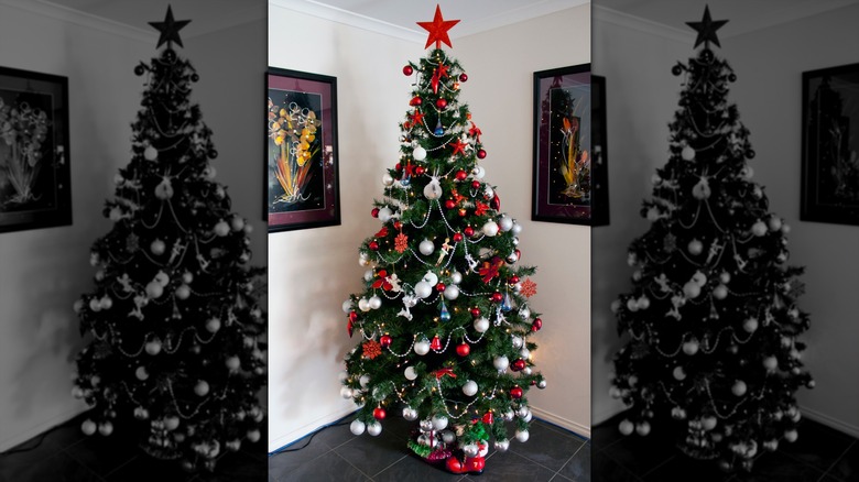 A bright bold christmas tree with a star on top