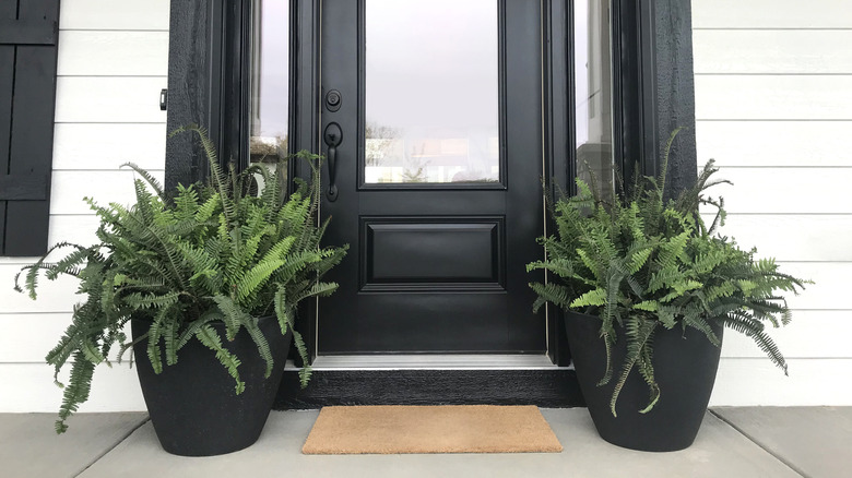 Home with black door and two potted plants