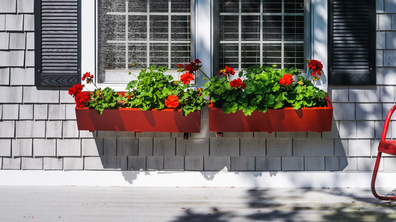 Red flower box filled with colorful assortment of flowers