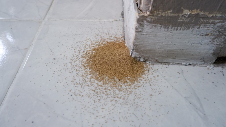 termite frass
