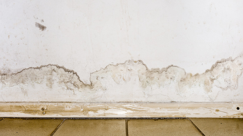 cracked and damaged paint on wall