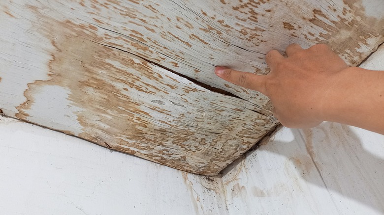 drooping ceiling 