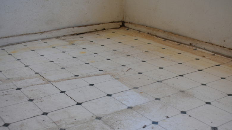 Moldy floor that probably smells