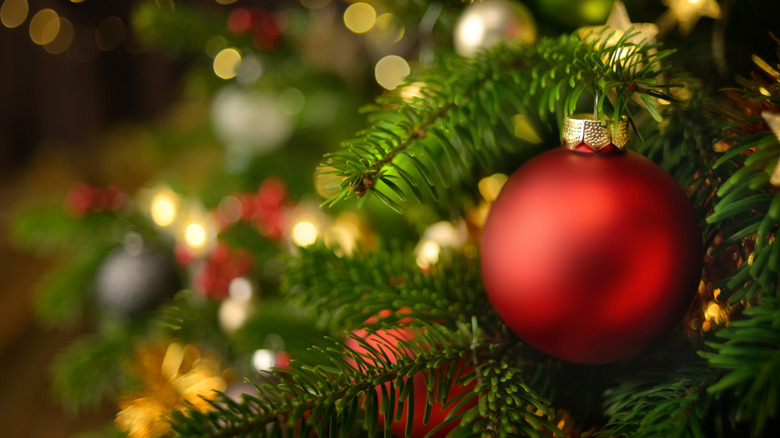 close up of a red ornament hanging on a tree