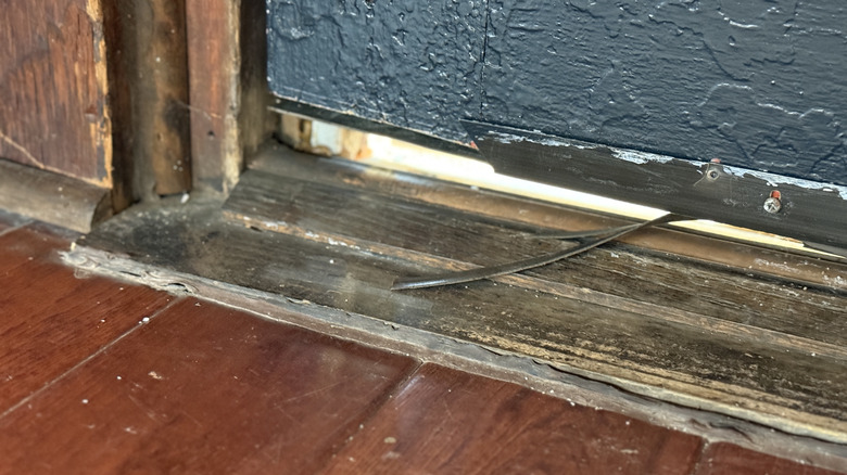 an exterior door with damaged weather stripping