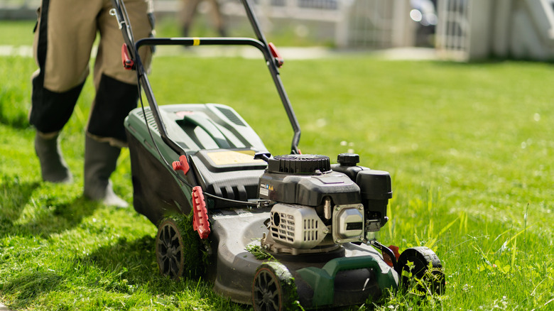 gardener mowing the lawn
