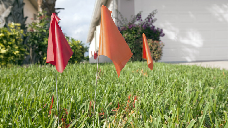 garden flags round rabbit nest