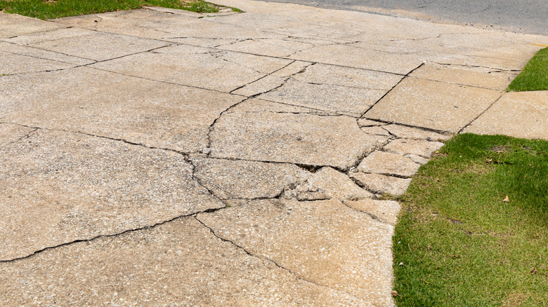 Cracked concrete driveway