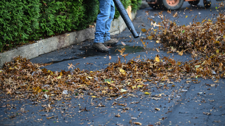Man leaf blowing drivway