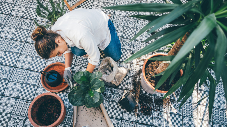 Person working with potted plants on a patio