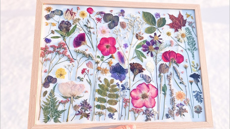 Frame filled with colorful dry flowers