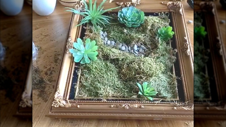 Faux moss and succulents in a frame