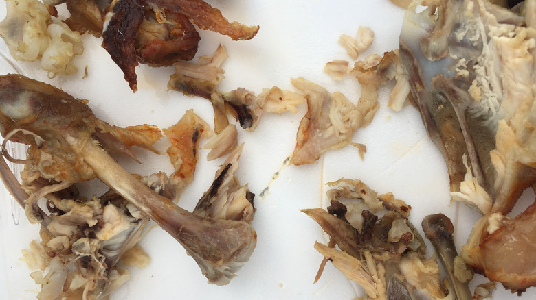 Chicken bones on a plate