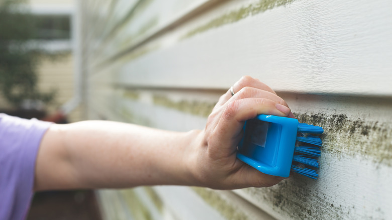 Scrubbing vinyl siding