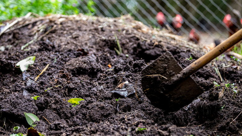 Shovel in a compost pile