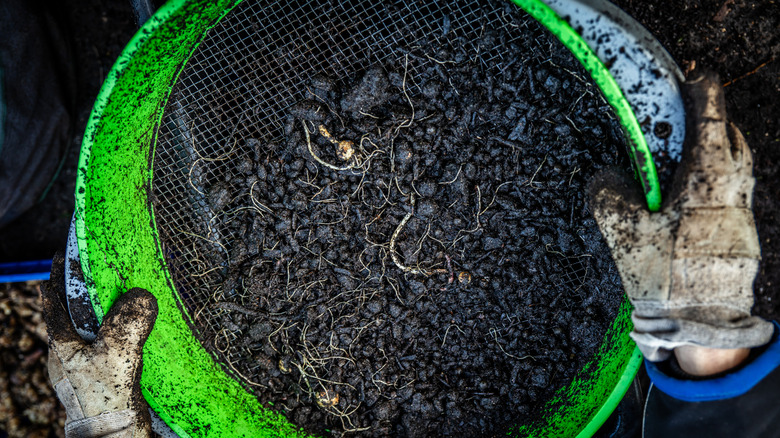 Hands holding a soil sieve, sifting dirt and stones from soil