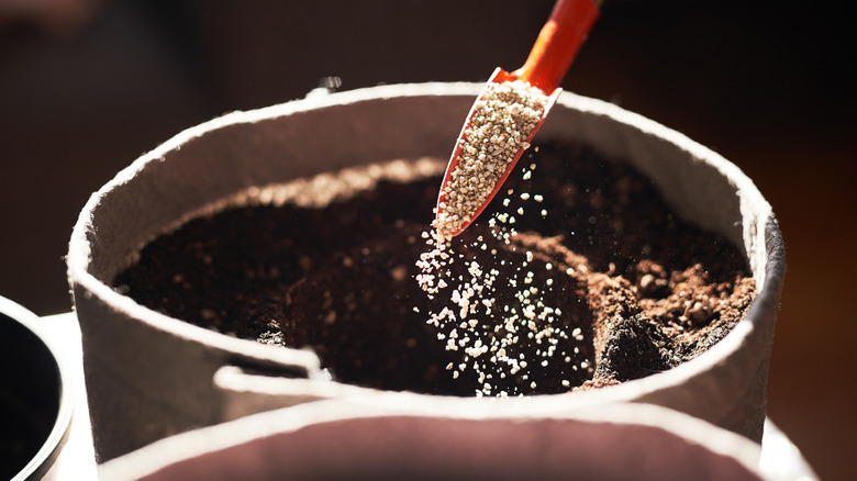 Closeup shot of a scoop of fertilizer being added to a pot of soil