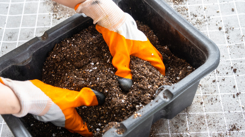 Two gloved hands mixing potting soil in a plastic container