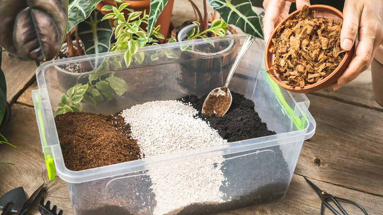 e gardener hands adding coconut husk chips to an aroid soil mix.