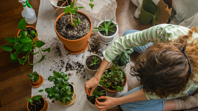 Woman sitting on the floor while repotting plants