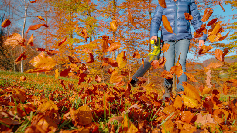 A person using a leaf blower to blow leaves