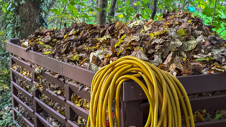 An overflowing metal leaf corral