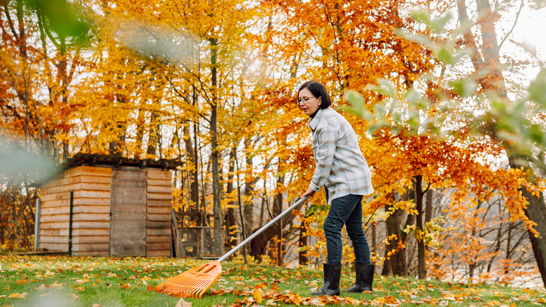 A woman raking leaves in yard